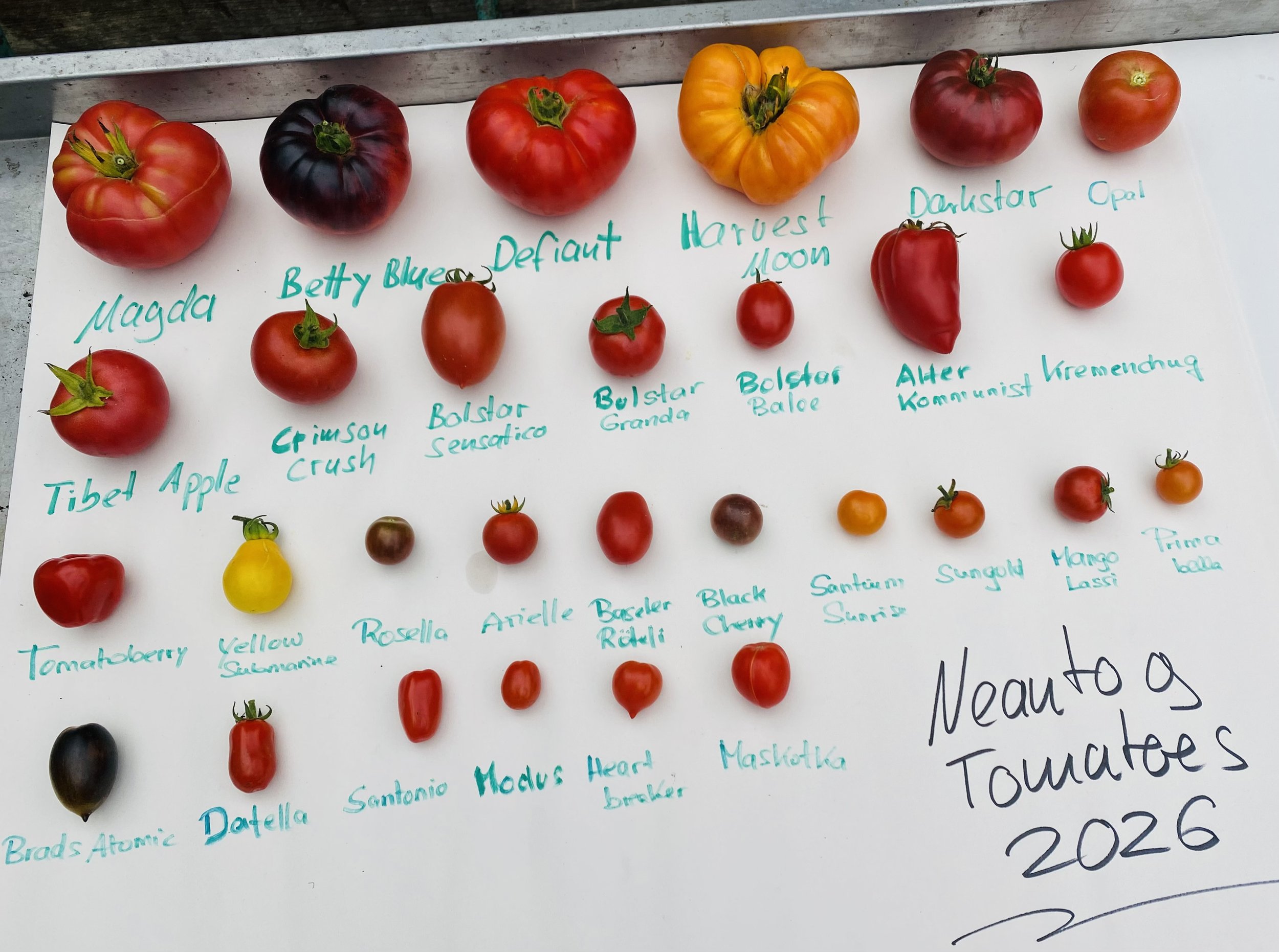 Neantog Tomato Trials 2020 - 2026 — Neantog Farm